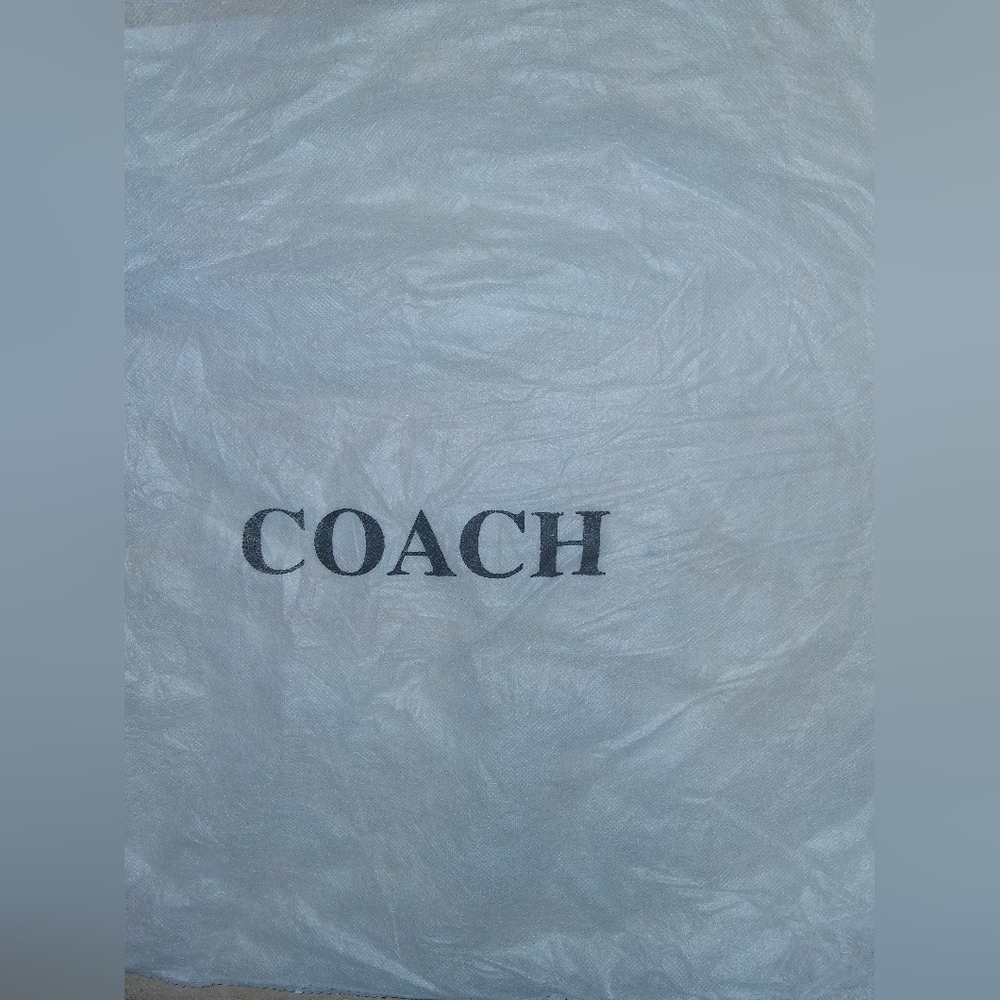 Coach Poppy Daisy Gold Logo Jacquard Crossbody Bag #F20791 W/Dust Bag - Picture 9 of 10